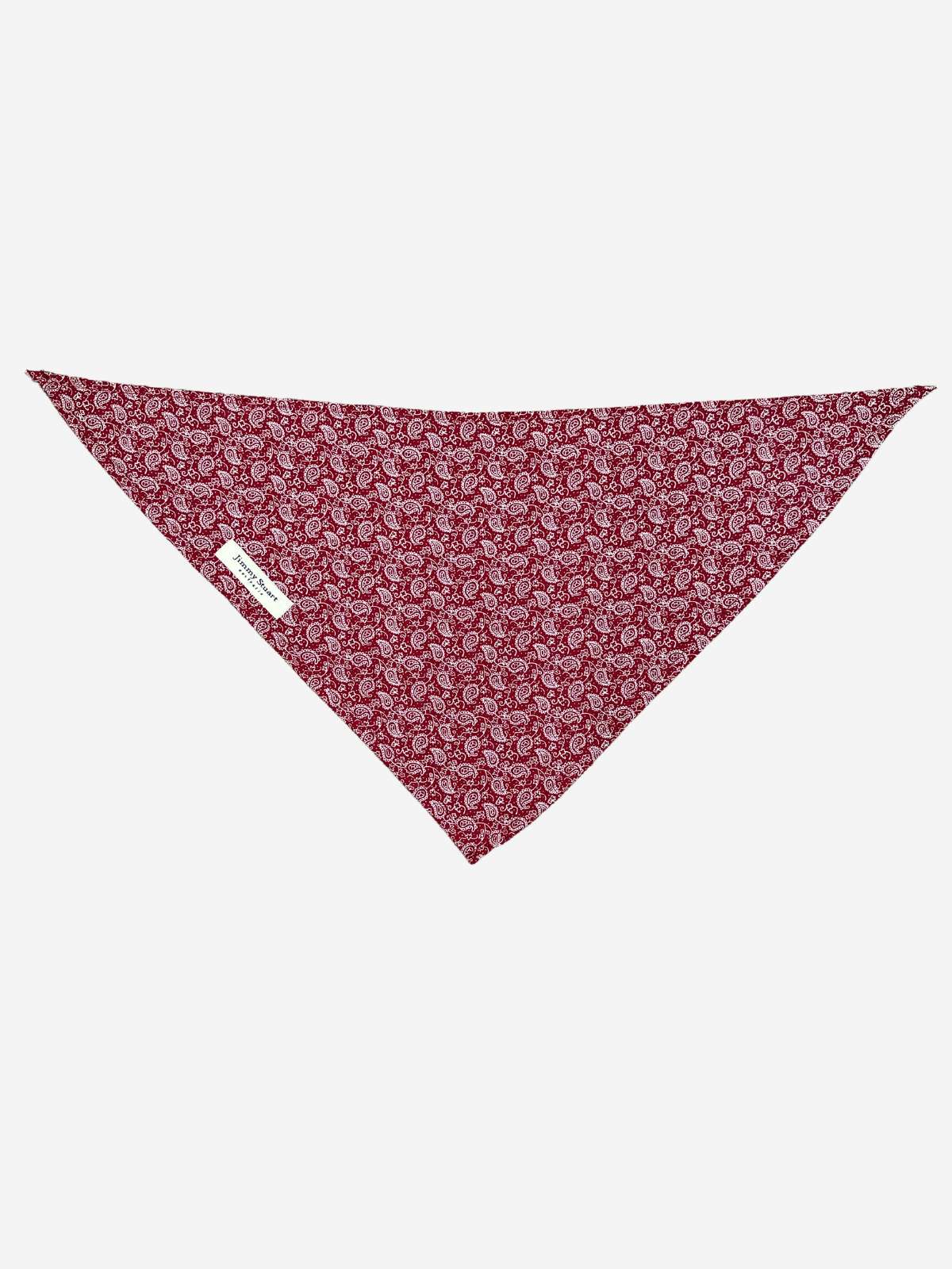 Amigo Doggy Bandana