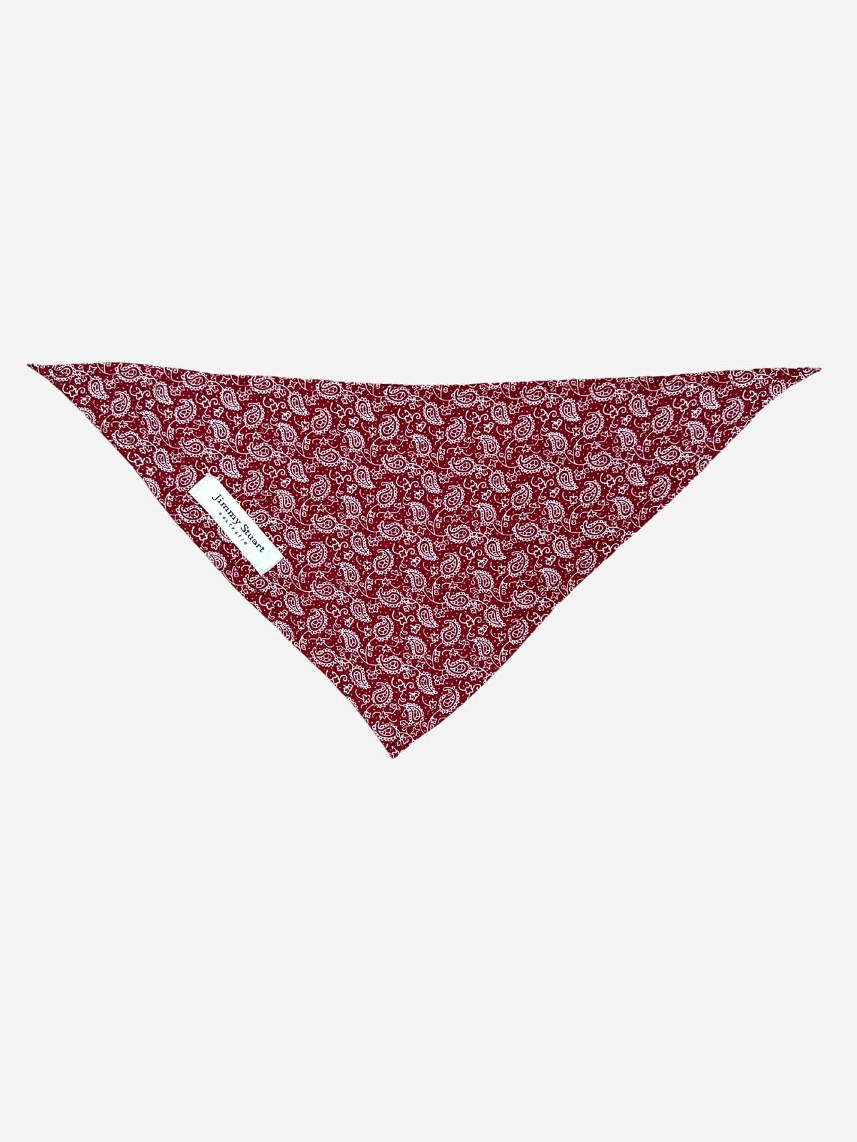 Amigo Doggy Bandana