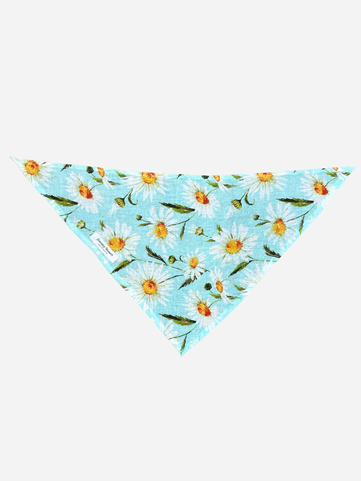 Daize Doggy Bandana