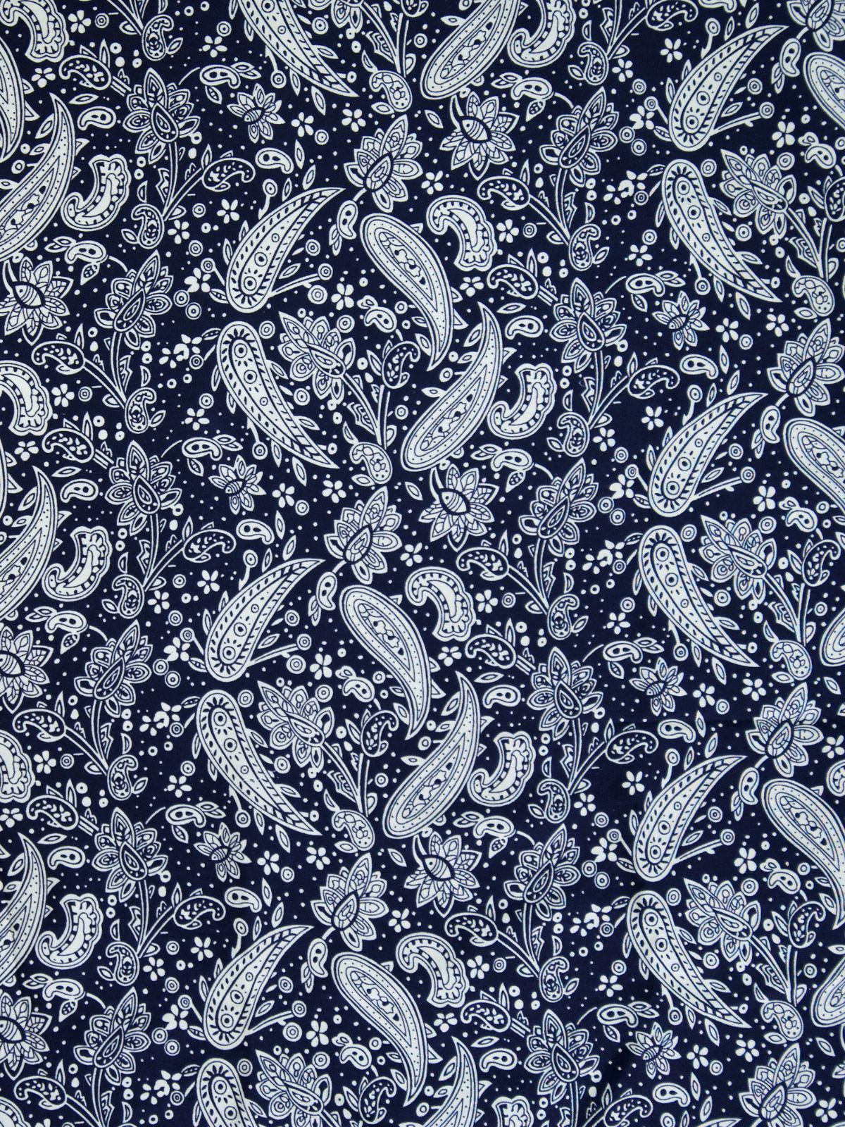 Amoeba Paisley Cotton L/S Big Mens Shirt – Navy