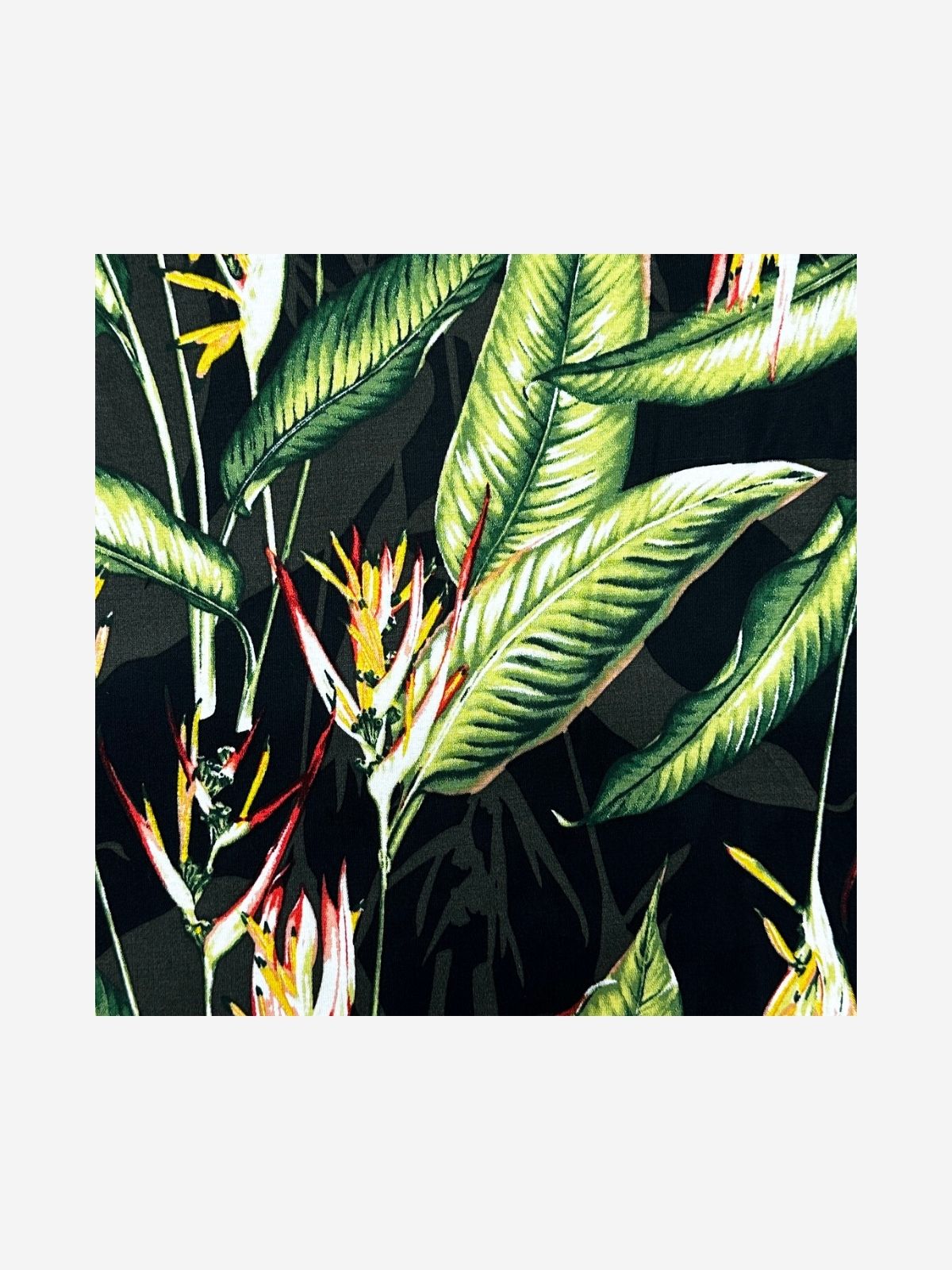 Garden Isle Pocket Square - Cotton/Rayon