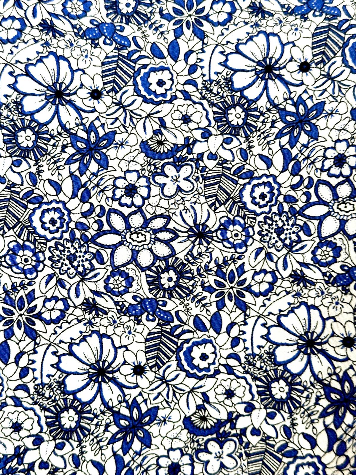 Hyde Floral Cotton L/S Shirt - Blue