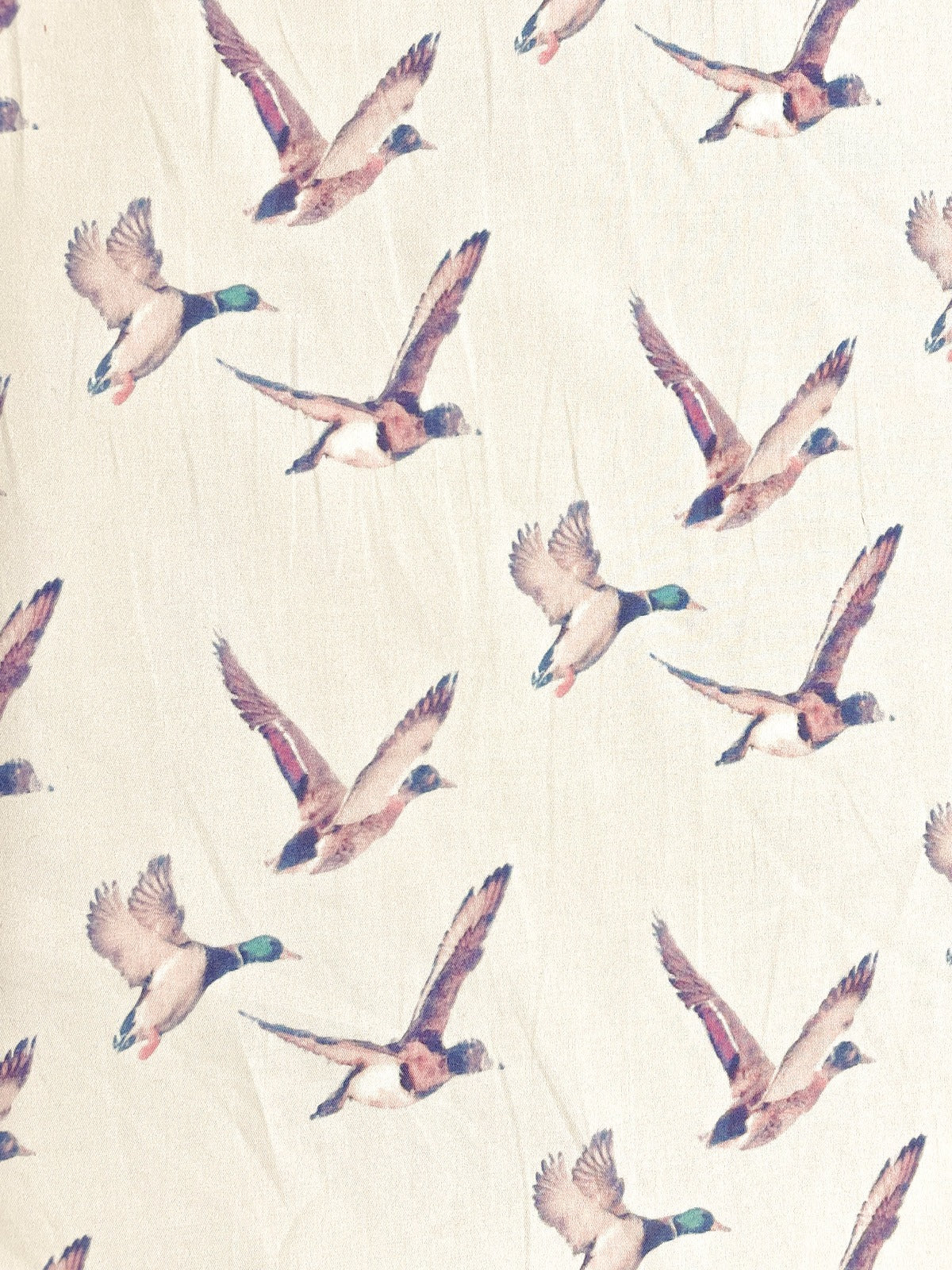 Ducks Abstract Cotton L/S Shirt - Beige
