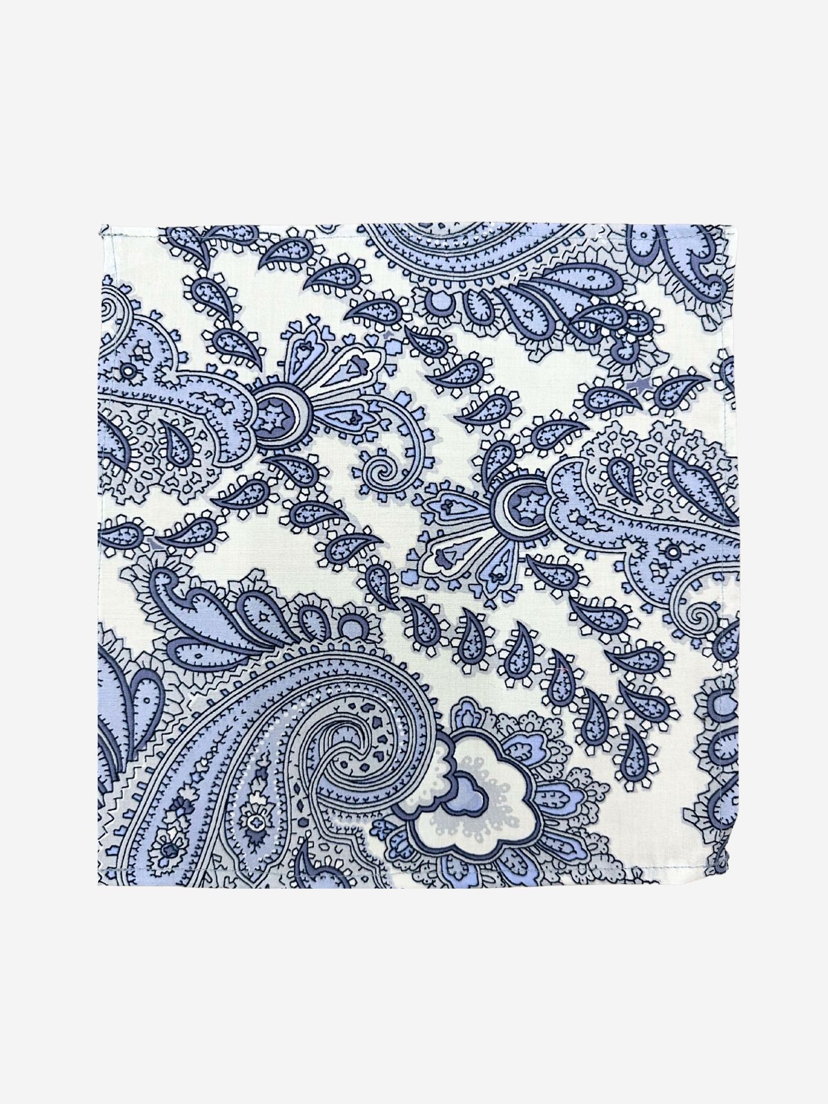 Blue Bone Cotton Pocket Square - Blue