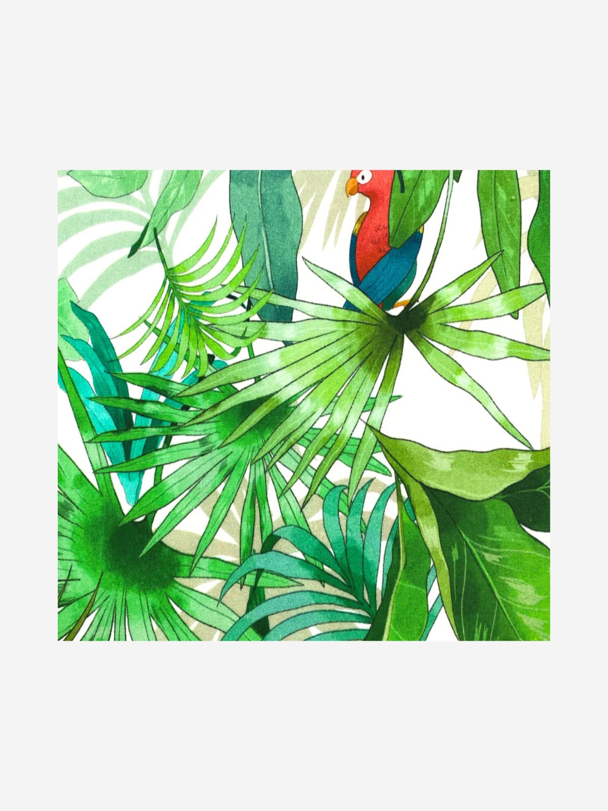 Kayapo Pocket Square - Cotton