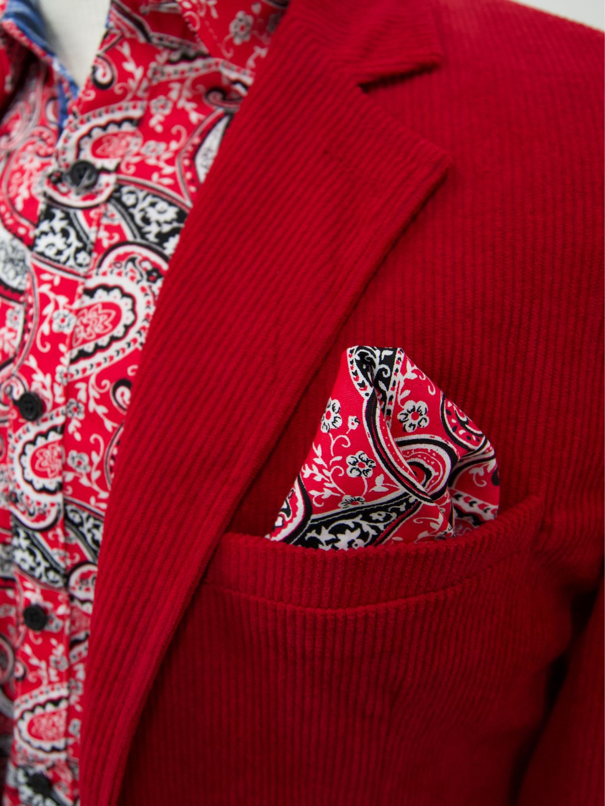 Catfish Cotton Pocket Square - Red