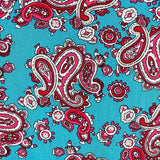 Palace Paisley Cotton L/S Shirt - Blue/Red